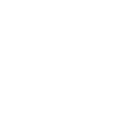 The price objection